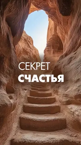 Пророк ﷺ сказал: — Не следует завидовать никому, кроме (отличающихся) двумя (свойствами): человеку, которому Аллах даровал (знание) Корана и который читает его ночью и днём, и человеку, которому Аллах даровал богатство и который расходует его ночью и днём. (аль-Бухари 73, Муслим 816) #чтениекорана #красотаислама #принятьислам #рамадан #сунна #дуа #вера #религия #кораннаарабском #научитьсячитатькоран #читатькоран #таджвид #школакорана #коран #ислам 