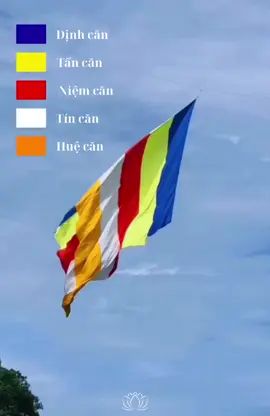 Ý nghĩa 5 Căn trong Phật giáo – Gốc rễ của tu tập 🪷 • Định căn – Thiền định vững chãi, an trú trong hiện tại. • Tấn căn – Nỗ lực tinh tấn, không ngừng tu tập. • Niệm căn – Giữ tâm chánh niệm, tỉnh giác trong từng khoảnh khắc. • Tín căn – Niềm tin sâu sắc vào Tam Bảo. • Huệ căn – Trí tuệ soi sáng, phá tan vô minh. #phatphapnhiemmau #nammobonsuthichcamauniphat #adidaphat #danang 
