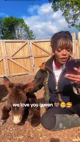 @Swearing Shepherdess @My Pets Palace #teamshepyep🤎🤎 #teamshepyep🤎🤎 #mypetsplace #mypetsplace #teamshepyep🤎🤎 #mypetsplace #teamshepyep🤎🤎 #teamshepyep🤎🤎 #mypetsplace 