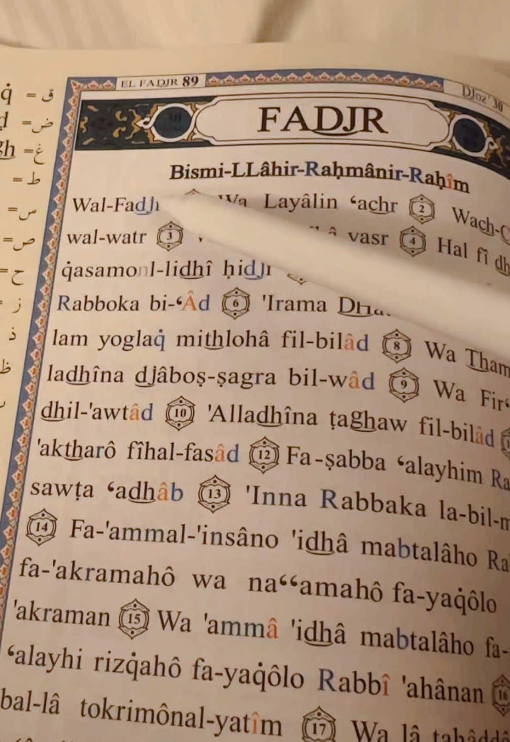 Surah Al fajr 🌖 #quran #islam #foryou #islamtok #surah #allahuakbar #tajwidquran #surahfajr 
