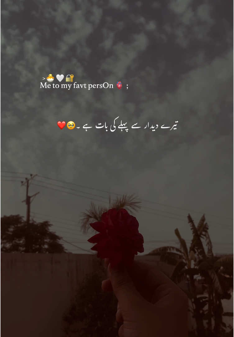 Ishq se door rha krty the 🐣❤️🔏#poetry #poetrystatus #asthetic #foryou #foryoupage #grow #account #yousaf_vibes 