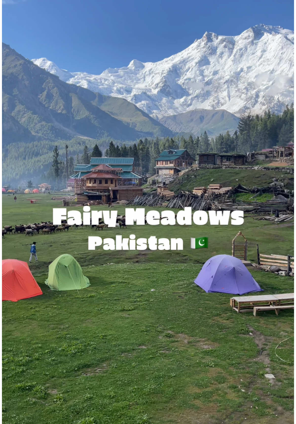 Fairy Meadows 💚
