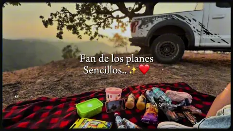 Fan de los planes sencillos ✨❤️#viralvideos #teladedico #CapCut #noasenfaltamonedasdiamante♥️ 