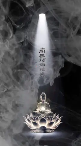 #prayforpeace #buddha #peaceful #ommanipadmehum #☘️ #ommanishop #ommanipadmehum🙏 #🕉️ #❤️ #adidaphat #adidaphat🙏🙏🙏 #ommanipadmehu 