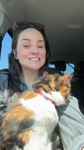 #fyp #foryou #Vlog #travel #yorkshire #britishcountryside #minibreak #cabin #longervideo #cosy #wholesome #vlogger @airbnb @YouTube  @user4179909338806  