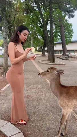 Now he’s with me 🦌