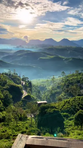 Kalo kebandung wajib kesini🥰😍. Htm15/ orang #bandung #pangalengan #sunrise #fyppppppppppppppppppppppp 