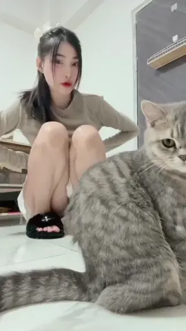 con mèo đen dễ thương  #thảocàngghẹ 