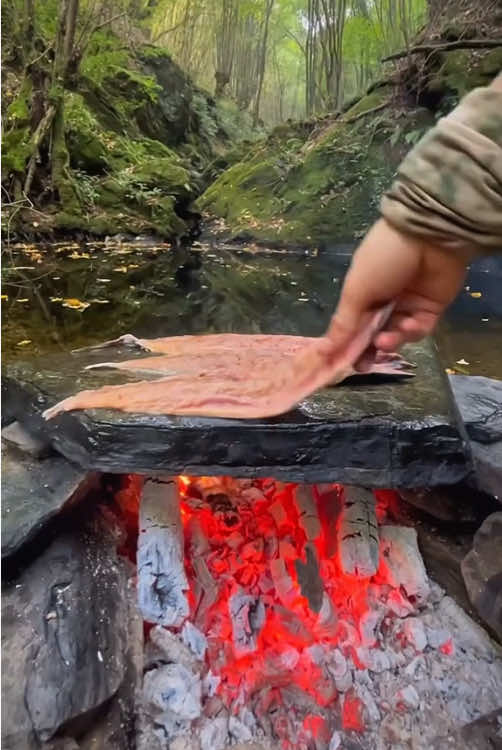 Fresh sea bass grilled on hot rocks in the wild 🐟🪵🔥💦  #cookingasmr #outdoorcooking #Recipe #leon #cookingnature #camping #foodtiktok #grilled #sea #bass 