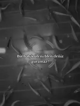 #real #global #name #100k #rek #keşfetteyizzz #CapCut 