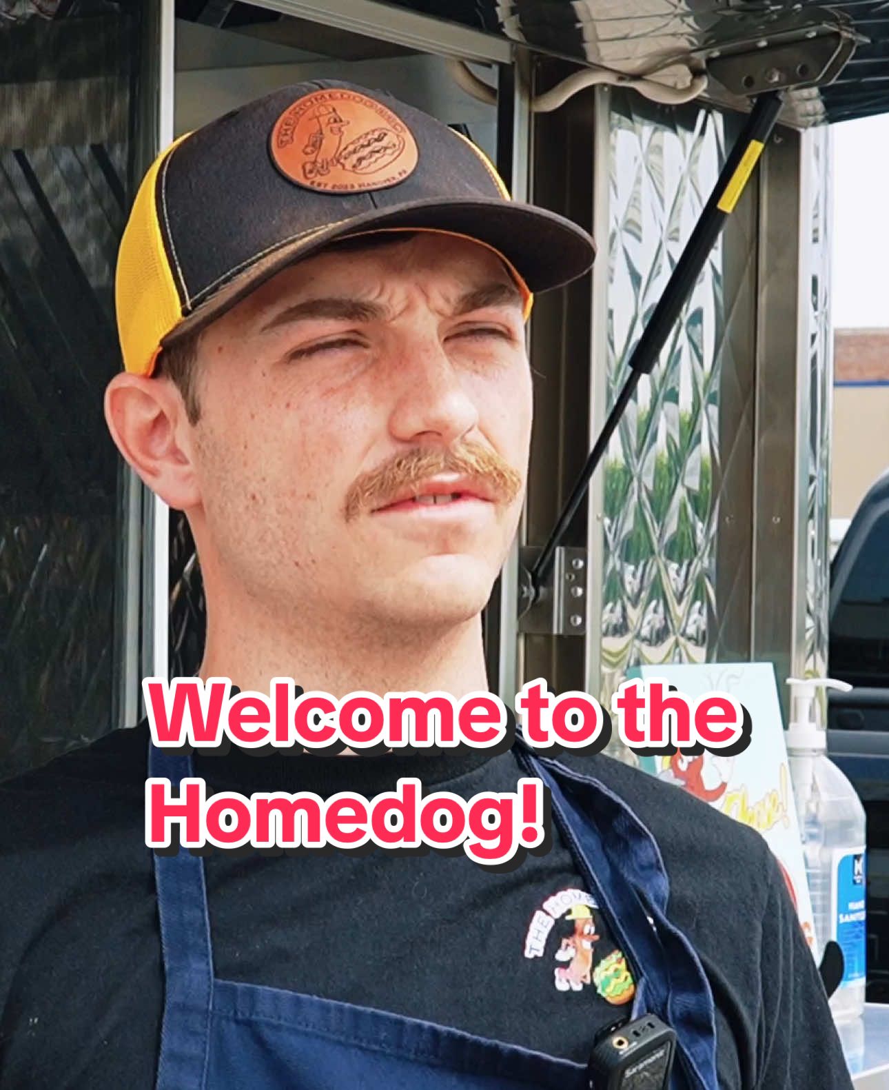 Welcome to Homedog! 