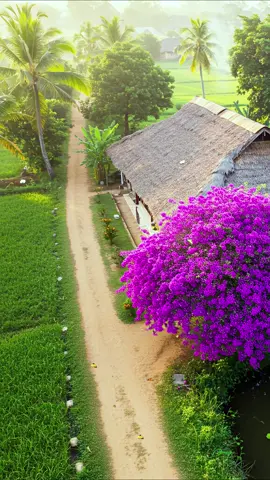 ជីវិតកវីតន្ត្រីស្នេហ៍ ច្រៀងដោយ #ស៊ីនស៊ីសាមុត #ប៉ែនរ៉ន  #រស់សេរីសុទ្ធា #កែវសារ៉ាត់ #គង្គប៊ុនឈឿន #noyvanneth #chhounmalay #ហ៊ឹមសុីវន #អ៊ិមយ៉េង #ហួយមាស #ណយវ៉ាន់ណេត #ម៉េងកែវពេជ្ជតា #បទខ្មែរ #បទពីដើម #oldsonglove #ហ៊ឹមស៊ីវន #ចិត្តឥតល្អៀង #អធិរាជសំឡេងមាស #sinsisamut #ទូចស៊ុននិច #ប៉ែនរ៉ន