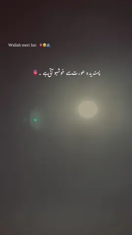Janah🫀🥹#shami #murree #viralvideo #foryou 