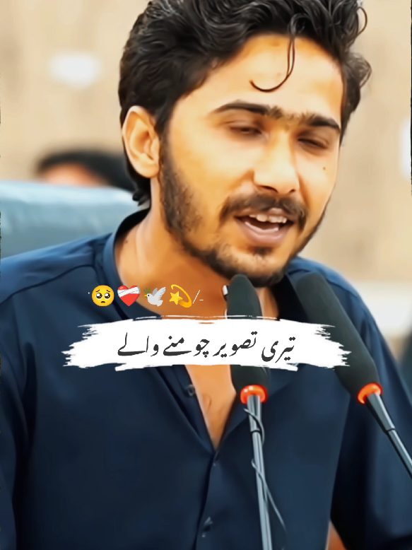 Tari Tasveer Chumna Wale 🥀🫀🕊️#foryou #tranding #goviral #poerty #abdullahzareem #urdupoetry #poetry #urdupoetry 