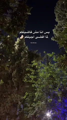 بس انا مش فاضيلكم :   لما افضى اجيلكم 🤌🏻 . #fffffffffffyyyyyyyyyyypppppppppppp #explore #foryou #الشعب_الصيني_ماله_حل😂😂 #نابلسية #1987nour #viraltiktok #tiktok #viral 