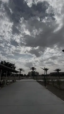 …دجلة سئلتني عليج؟ والنوارس تسأل من شافت اديه بلا اديج!! . . . . . . . . #شعر #سمير_صبيح_جبل_الشعر_الشعبي_العراقي #اكسبلور #شعراء_وذواقين_الشعر_الشعبي #زيد_السومري #الشعب_الصيني_ماله_حل😂😂 