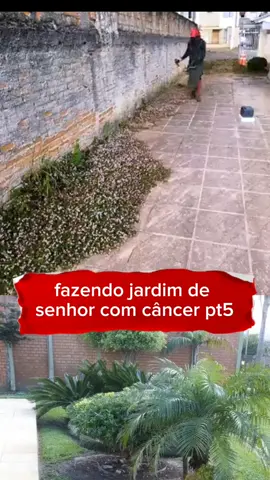fazendo jardim de senhor com câncer #jardin #jardin #plants 