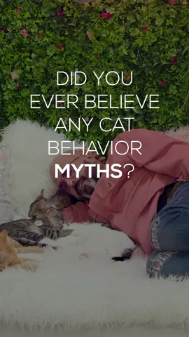 One cat behavior myth I used to believe was… #cats #catbehavior #myths #catlovers 