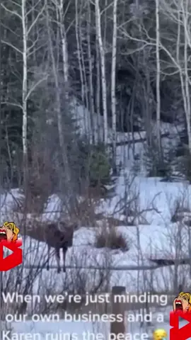 Even in the wilderness when you think you’re safe from any and all karens until… 😬 Thoughts?#karen