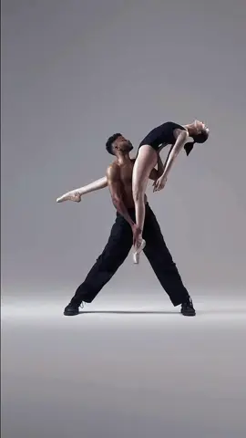 Élégant & Artistic | Ballet Aesthetics #balletart #balletdancer #ballerina #balletaesthetic #visualpoetry #balletlover #elegantdance #fleurdelys 