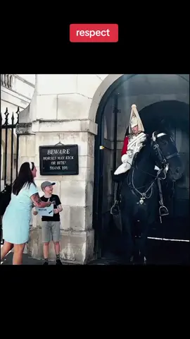 family visit #kingguardhorse #kingguard #royalguard 