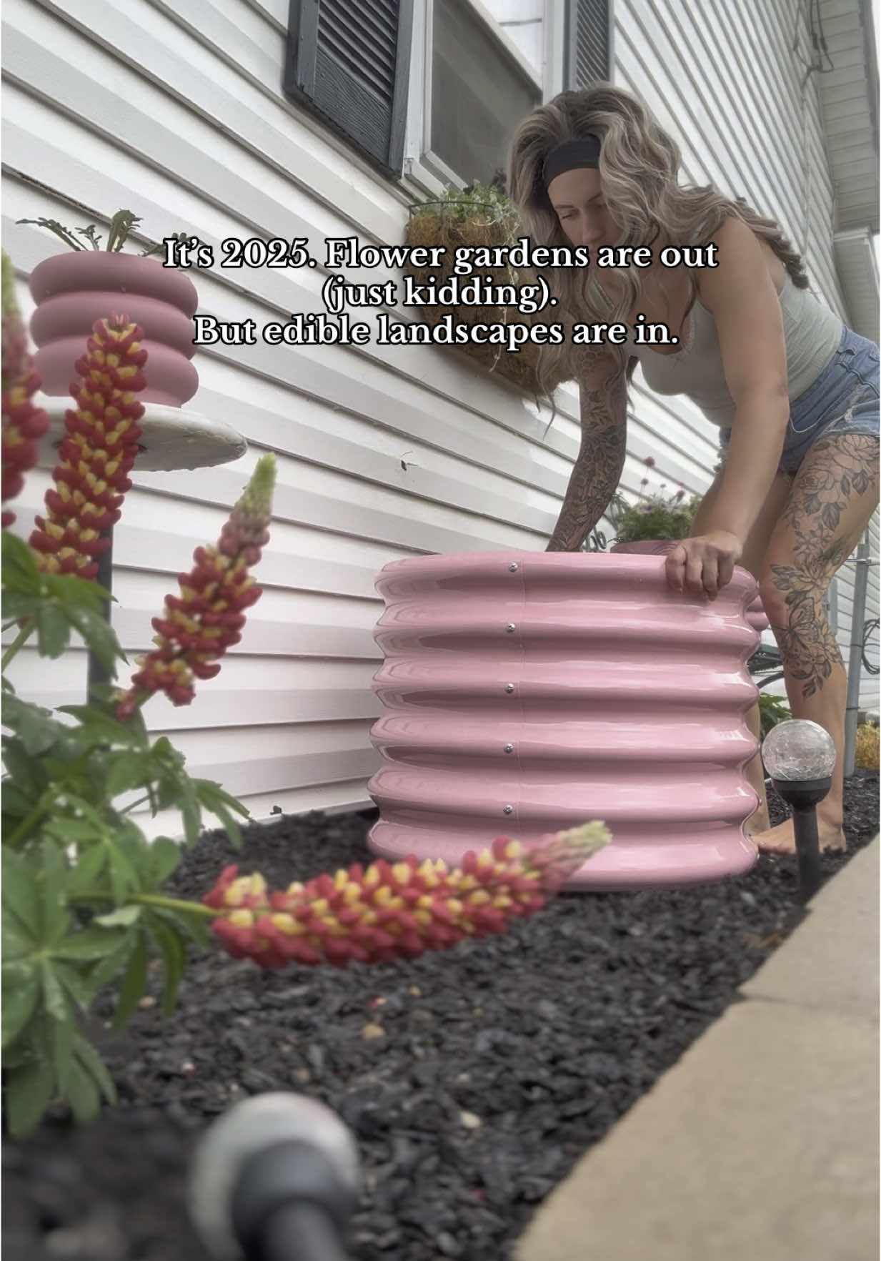 Grow yo food AND MEDICINE. And lots of flowers because POLLINATORS. 🐝  #medicinalplants #holistichealth #ediblelandscaping #foodforest #urbanhomestead #wellness #selfsufficiency #homestead #selfsufficient #gardening 