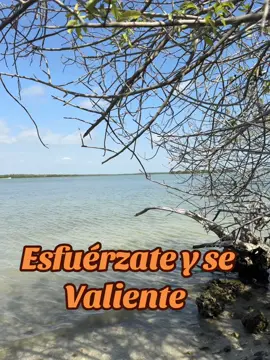 Esfuérzate y se valiente #dios #diosesbueno #diosesamor  ##viralreels #viralvideos #viral #biblia #parati #inspira #tips#inspirationalquotes #reelsinstagram #instagram #vencer #cristo #cristiano #jovenescristianos #cristianos #consejos    