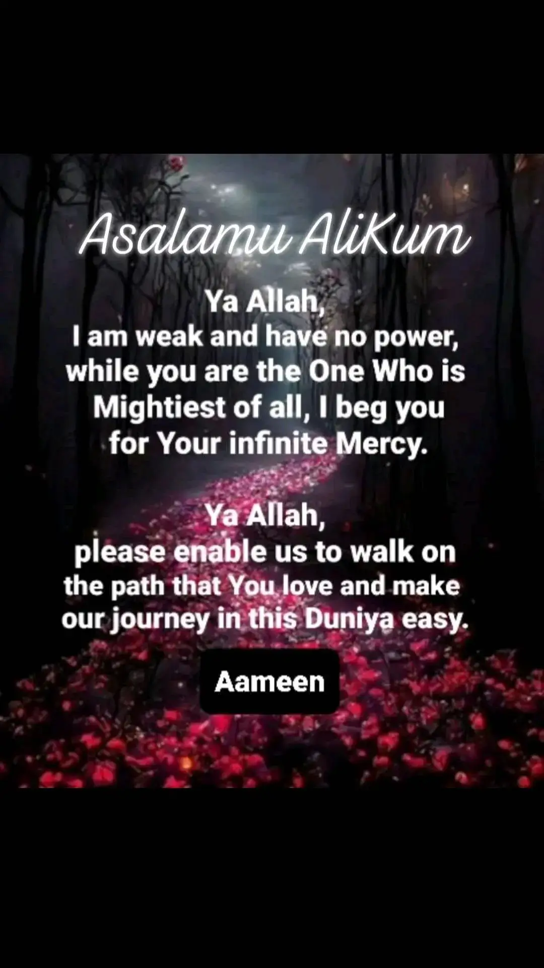 #Ameen#fyp 