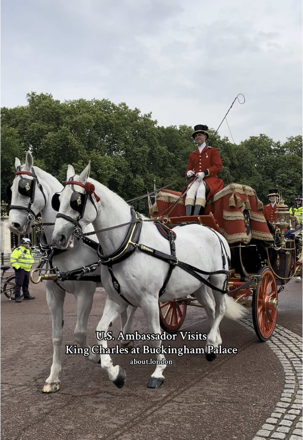 U.S.Ambassador Warren Stephens met with King Charles at Buckingham Palace today #USA #ambassador #king #kingcharles #theking #kingcharlesiii #us #america #unitedstates #unitedstatesofamerica #london #fyp 