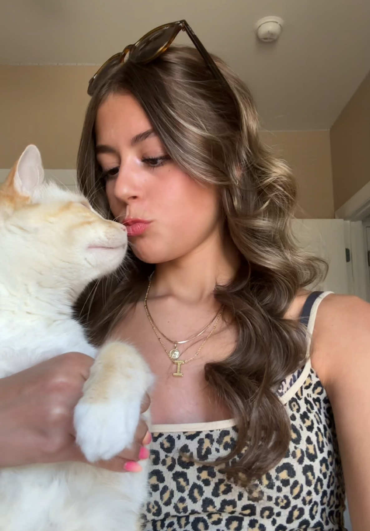 my child 😚 #cat #ollie 