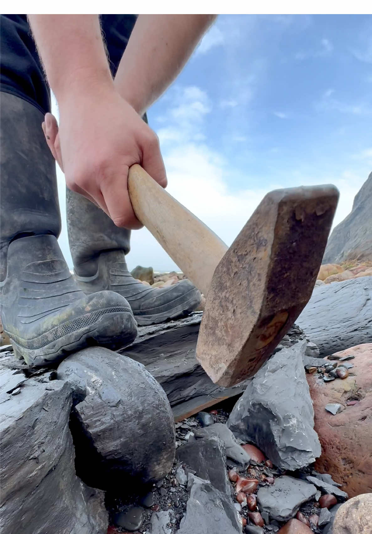 We found a Jurassic Age limestone rock and opened it, in the search for more fossils! 🤯 Take a look and see if anything was inside! 🏝️ You win some, you lose some! 🌅🦕🏝 Thanks for supporting our page! 🐊 #natural #nature #fossil #fossils #ancient #animals #art #ammonite #ammonites #dinosaur #scientist  #minerals #paleontology #whitby #geologist #dorset #geology #charmouth #jurassic #yorkshire #fyp