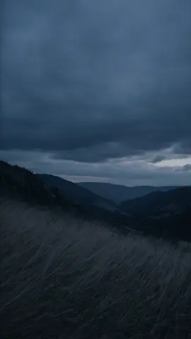 alone.