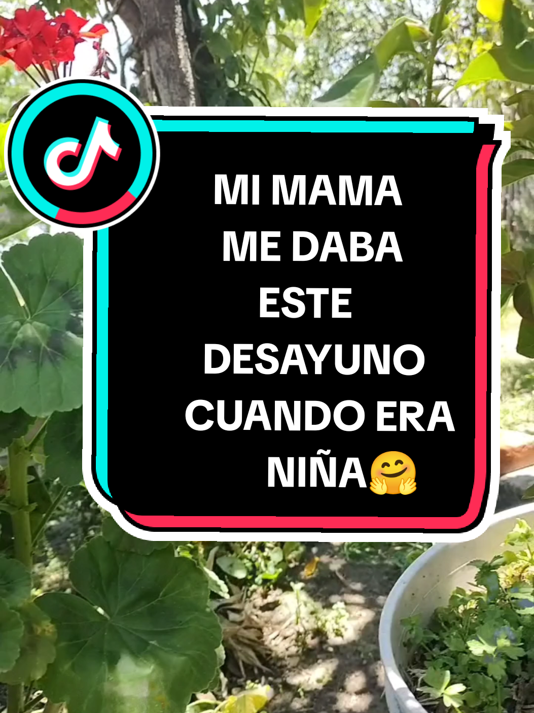 Antes de los cereales modernos como Kellogg's y Nestlé este era el desayuno que me daba mi mamá cuando era niña. 🤗🤗 #cocinandoconlauren #misqueridosnietos #tlaxcalasiexiste #cereal #cerealnatural 