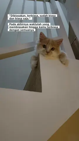 semua karena sudah terbiasa.....