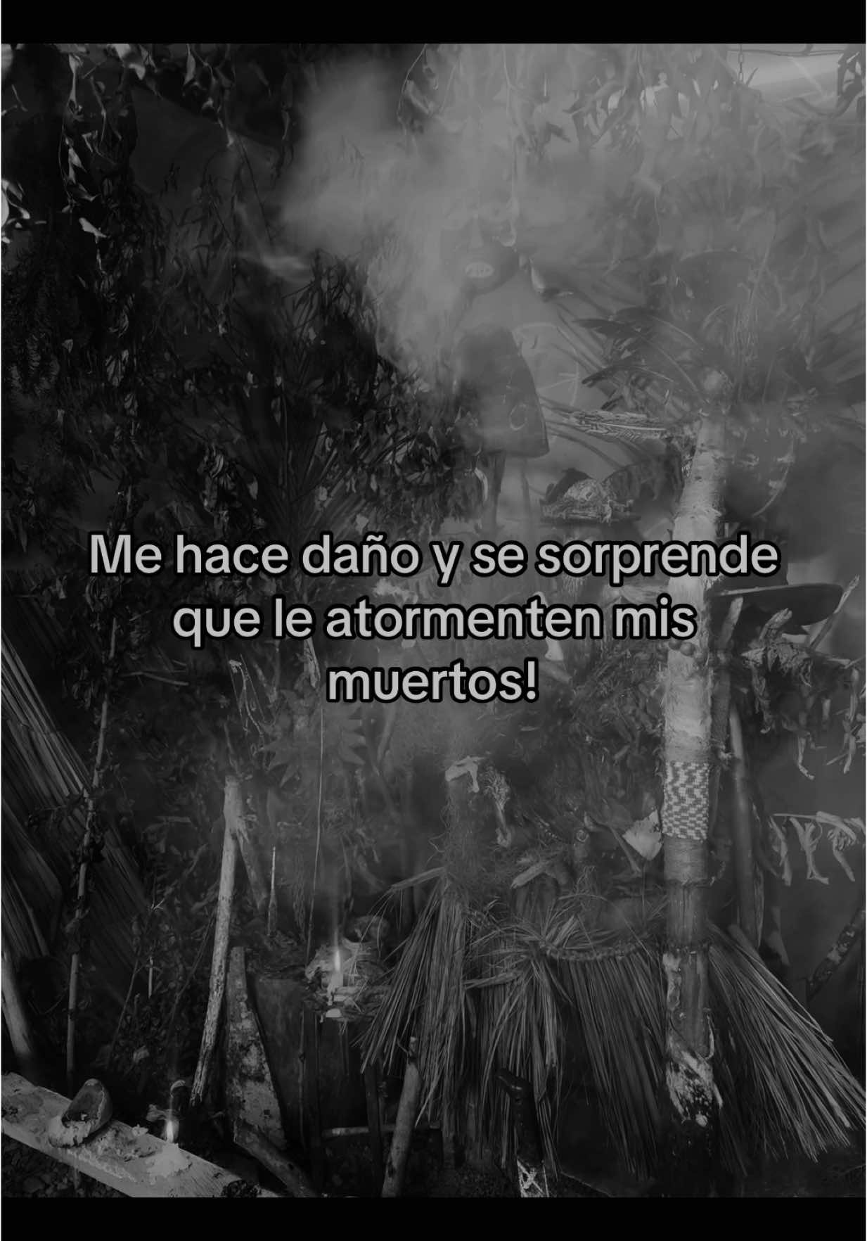 #nkisi #yayankisi #fypシ゚ #brujasdetiktok #brujas #nganguleros #paleros #tata #yaya #nfumbe #nganga #creencias #energia 