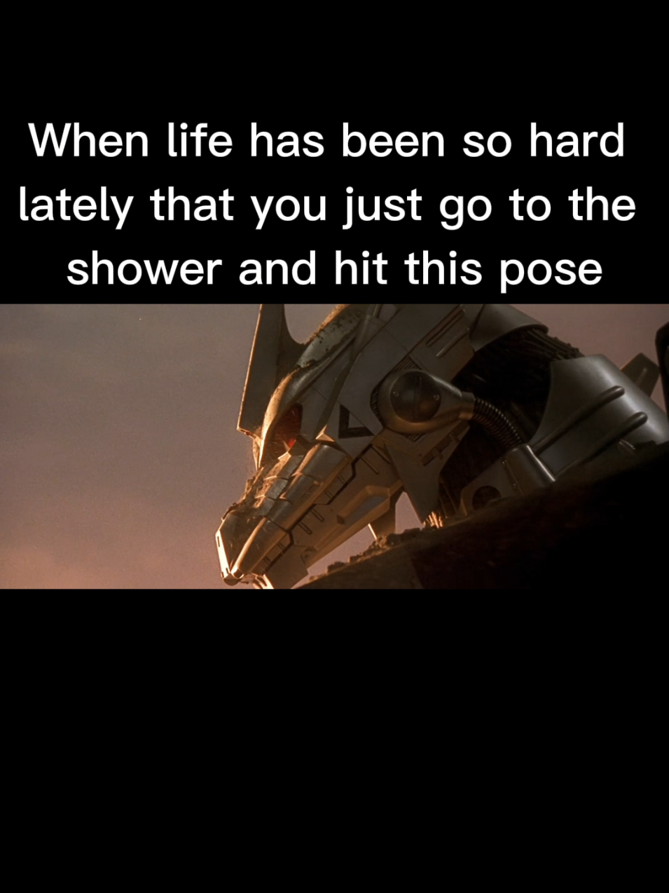 Just lower your head and let the water wash your thoughts away  . . . . . #meme #edit #fyp #lonely #hard #life #suffering #godzilla #mechagodzilla #kiryu #godzillaagainstmechagodzilla #deftones #lmirl #sad #pain #shower #depression #kaiju 
