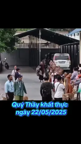 #thayminhtue #toan cảnh khất thực của tăng đoàn Thầy Minh Tuệ 