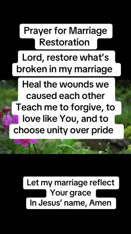 Let my marriage reflect Your grace  In Jesus’ name, Amen #marriage #godlymarriage #prayer #restoration #wife #husband #christiantiktok #fyp #foryou 