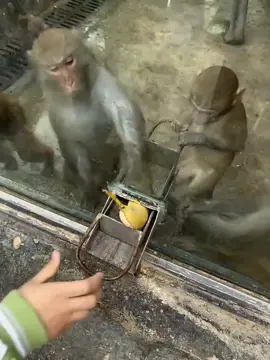 Why’s she not putting the whole thing
