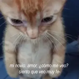 ♡  20  | él siempre se mira muy bien #minoviecitolindo♡ #fypシ゚ #cuentadedicadaaminovio #podercerdito❤️ @TikTok 