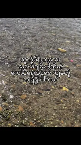 🙂‍↕️#fypပေါ်ရောက်စမ်း #fyp #fyppppppppppppppppppppppp #thankb4youdo #trending #မဖလုတ်နဲ့ကွာ☹ #tiktok #viwsတွေရှယ်ကျ🙂👍 