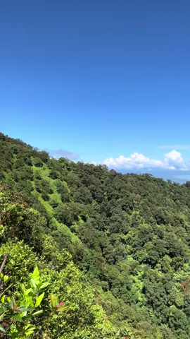ketika pulosari melibehi ekspektasi ⛰️  #pulosari #gunungpulosaripandegelang #gunungpulosari1343mdpl #explorbanten 