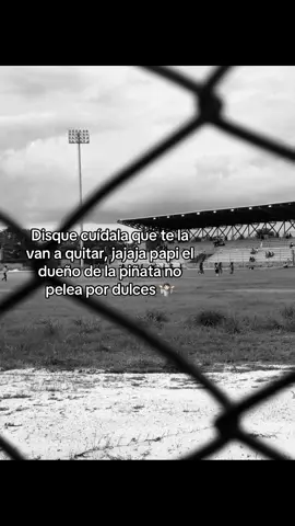 Solo eso. #creatorsearchinsights #vallenato 