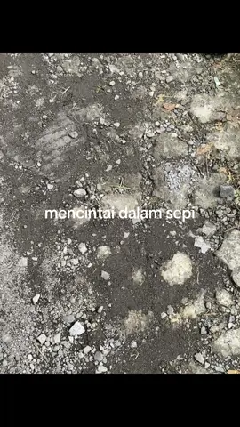 #guyonwaton #guyonwatonofficial #dieng #wonosobo #menepi #menepiguyonwaton #fyp #beranda 