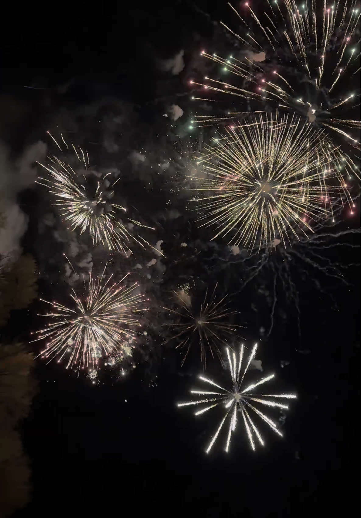 #shizenro #fyp #fireworks #victoriaday #peace 