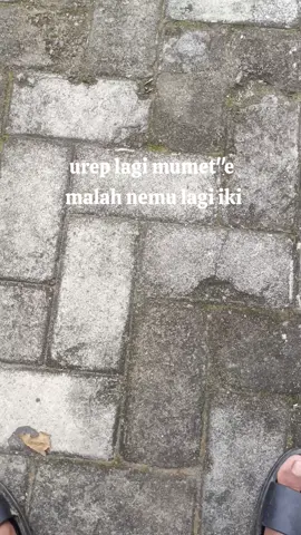 Urip lagi mumet
