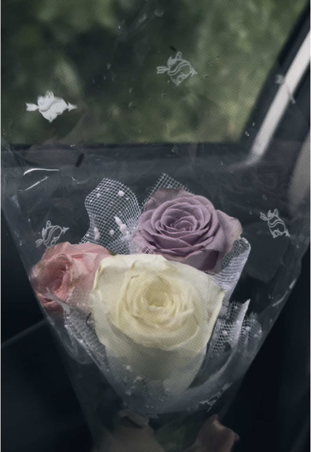 🩷 #CapCut #fyp #foryouu #viral #foryoupage #foryoupage #viral #foryou #nature #flowers #rose #purplerose #foryou