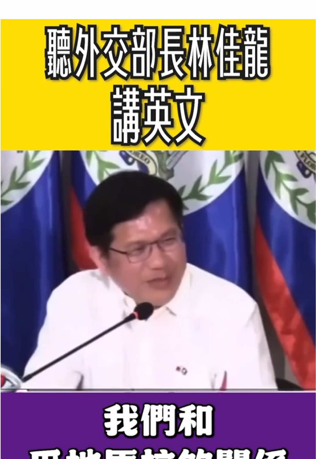 中華民國的外交部長林佳龍英文演說。#柳傑克 