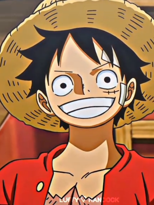 เดิมพันมันด้วยชีวิตน่ะ #anime #onepiece #วันพีช #luffy #foryoupage #trendingvideo #fypツ #fyp #อย่าปิดการมองเห็น 