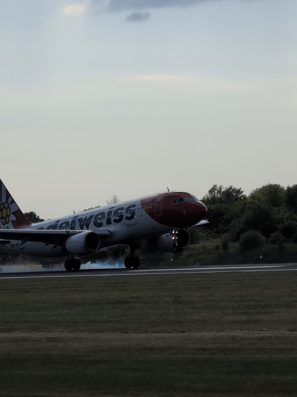 Edelweiss Airlines Airbus A320-200 on arrival from Zurich, Switzerland 🇨🇭 #planespotting #manchesterairport #fyp #viralvideos #aviation #airbus #switzerland 
